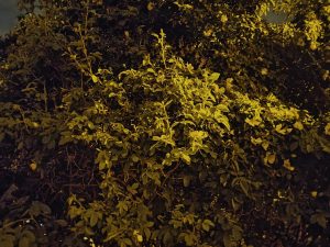 IMG 20230606 231452891