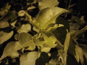 IMG 20230608 003053179