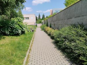 IMG 20230618 130847