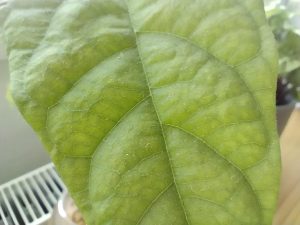 IMG 20230620 170317