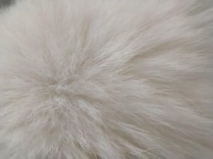 IMG 20230620 170401