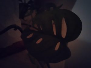 IMG 20230622 223740