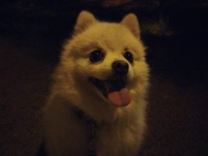 IMG 20230622 225226