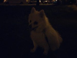 IMG 20230622 225436