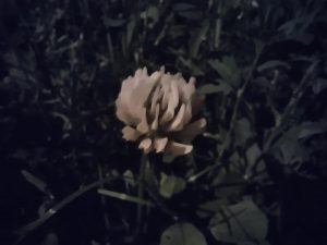 IMG 20230622 225614