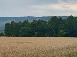 fotografie z fotoaparátu s teleobjektivem telefonu Sony Xperia 1 V