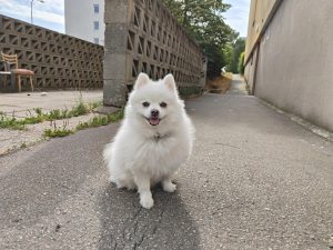 IMG20230727092821