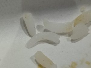 IMG20230728145416