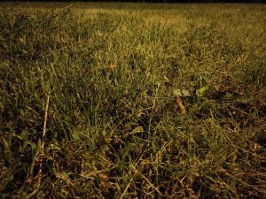 IMG20230731230348