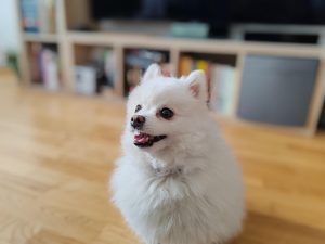 IMG 20230618 154740