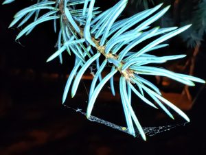 IMG 20230717 221724592