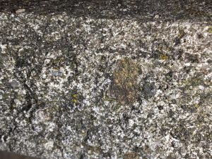 IMG 20230717 221921808