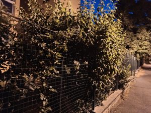 IMG 20230717 222009216