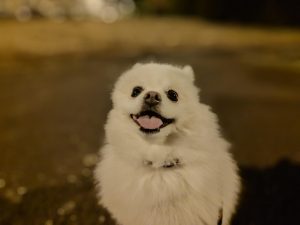 IMG 20230724 223337