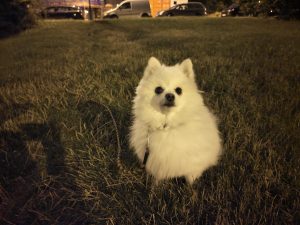 IMG 20230808 234435