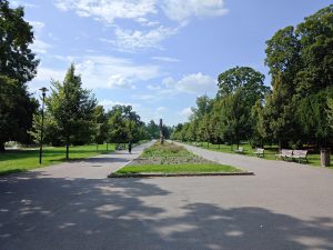 Snímek z hlavního fotoaparátu Nubie RedMagic 8S Pro