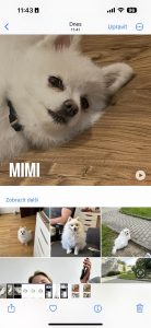screen ios 17 06