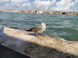 IMG 20230901 114410 436
