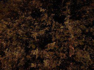 IMG 20230915 002757 490