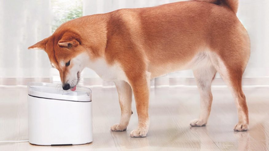 Chytrá fontánka Xiaomi Smart Pet Fountain