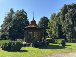 iPhone 15 a fotografie z hlavního fotoaparátu