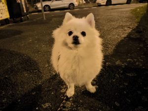 IMG 20231019 211016