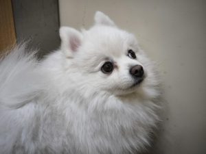 IMG 20231022 123222