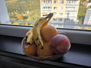IMG 20231025 150800a