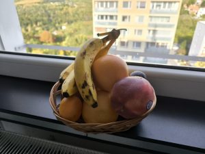 IMG 20231025 150803v