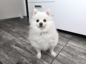 IMG 20231025 150817v