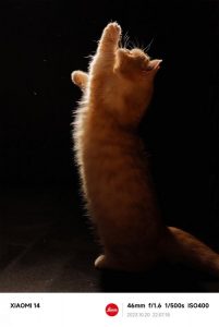 Náhled na fotografii pořízenou smartphonem Xiaomi 14