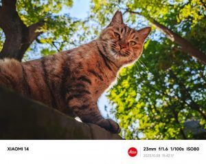 Náhled na fotografii pořízenou smartphonem Xiaomi 14