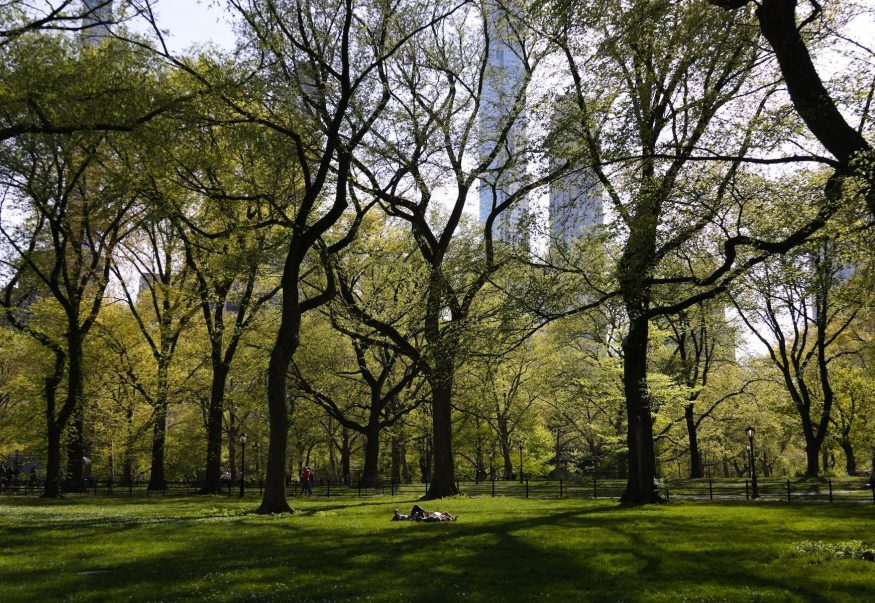 park park