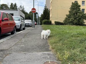 Hlavní fotoaparát – 2× zoom (48 mm)