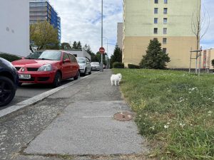 tempImagen2puvU