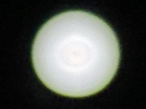 tempImagetONyLn