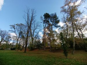 IMG 20231106 140003 984