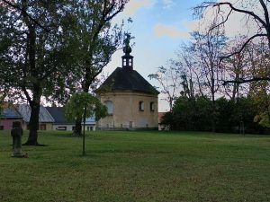 IMG 20231106 140233 485
