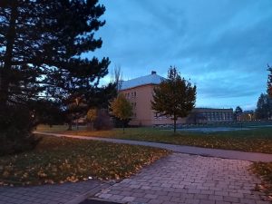 IMG 20231115 163401 031
