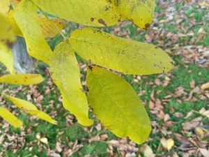 IMG 20231116 111051 481