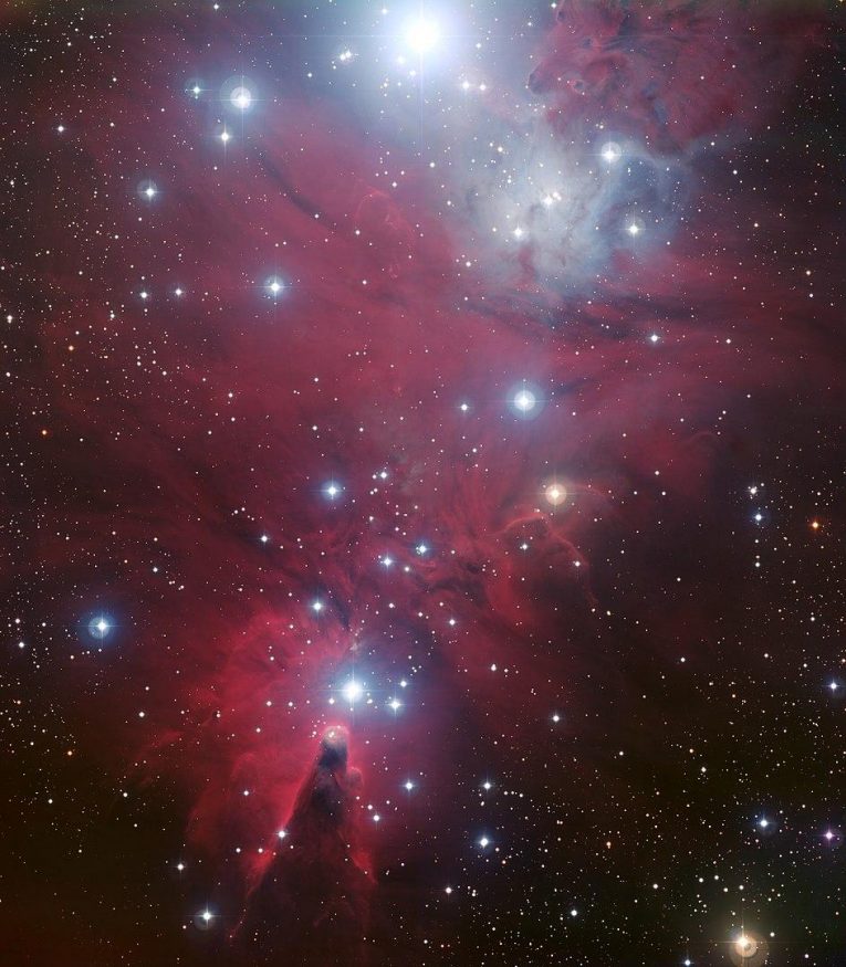 Hvězdokupa NGC 2264