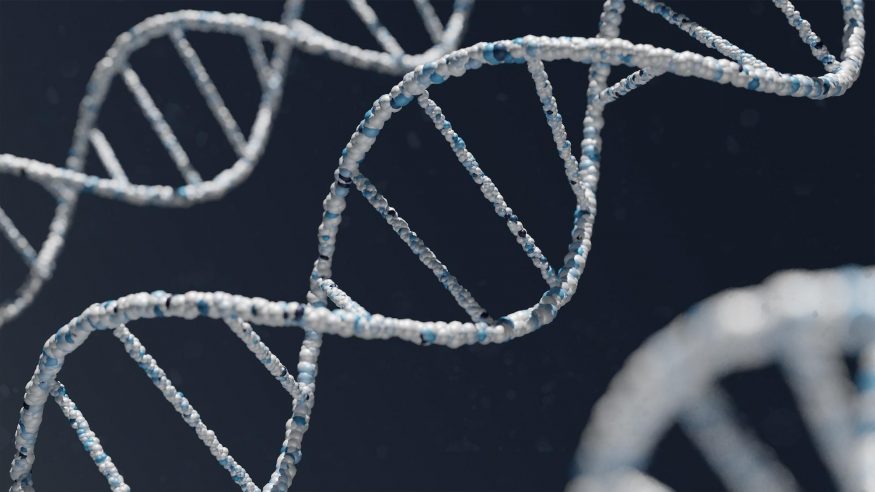 Dvoušroubovice DNA spojená vodíkovými můstky Dvoušroubovice DNA spojená vodíkovými můstky