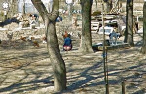 google street view 13