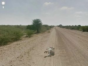 google street view 15