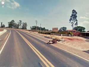 google street view 18