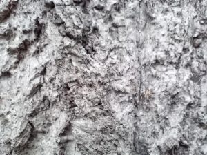 IMG 20231025 145356