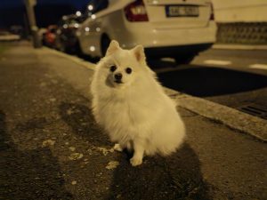 IMG 20231227 210706
