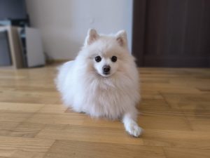 IMG 20240112 084457