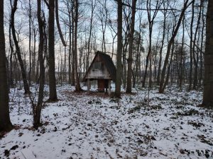 IMG 20240116 154319