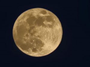 IMG 20240125 165356